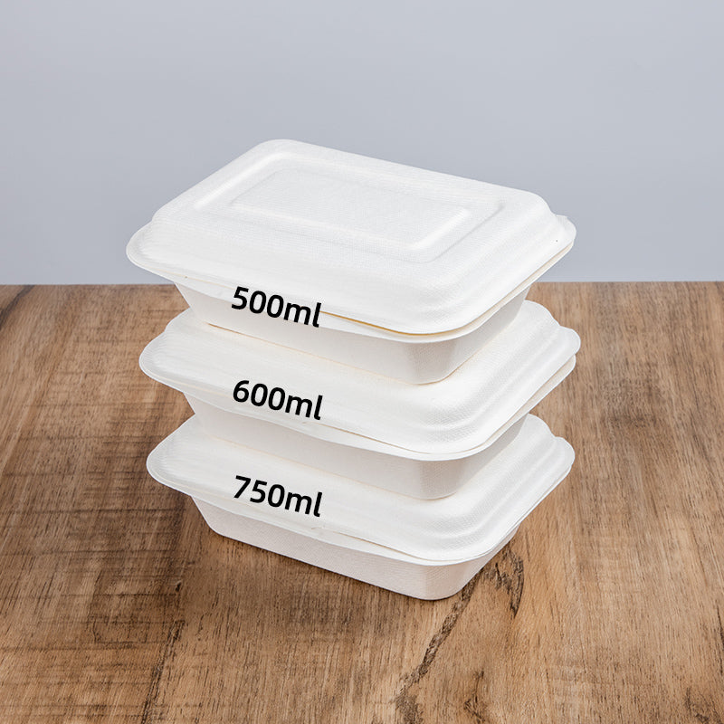 Degradable Sugarcane Disposable Clamshell Food Containers 300 packs